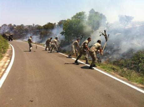 Corato/ Ambiente. Domato dai Bersaglieri di Altamura l’incendio sulla SP Corato Bisceglie, al km 19