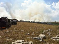 Corato/ Ambiente. Domato dai Bersaglieri di Altamura l’incendio sulla SP Corato Bisceglie, al km 19