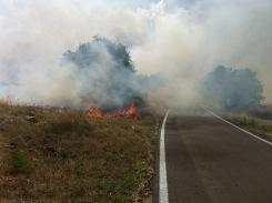 Corato/ Ambiente. Domato dai Bersaglieri di Altamura l’incendio sulla SP Corato Bisceglie, al km 19