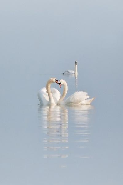 Azzurro, amicizia e libertà …