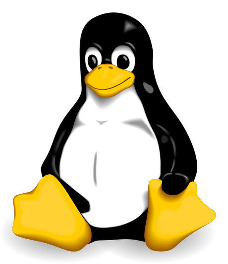 Come orientarsi nel complesso mondo dei Sistemi Operativi Linux