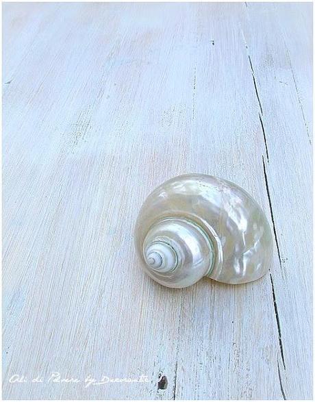 E' arrivata l'estate!