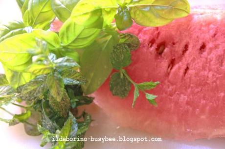 Solleone - Bevanda Dissetante al Cocomero, Menta e Basilico or Watermelon, Mint and Basil Refreshing Drink