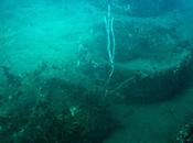 "fertile" mare Filicudi