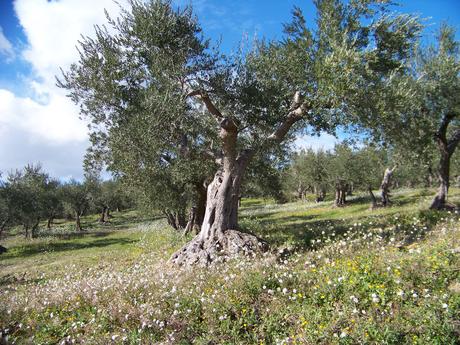 Passeggiando con una disadattata