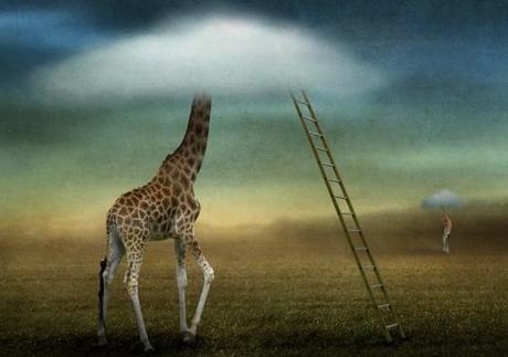 Ben Goossens