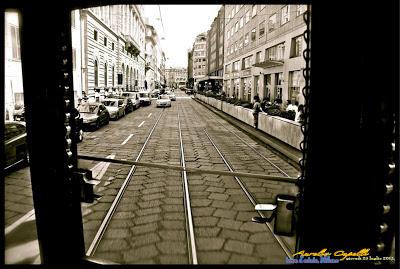 tram, di stagione