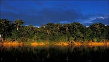 L'Amazzonia ad alto rischio