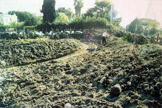 Ischia: giardini di passione