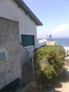 Isola del Giglio Isola del Giglio