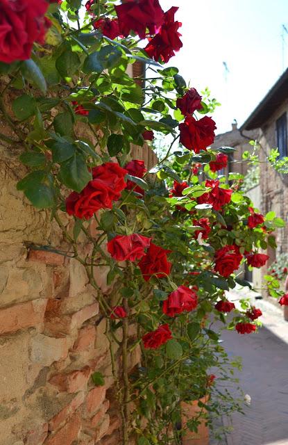 Paradisiaci sapori di Toscana