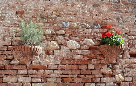 Paradisiaci sapori di Toscana