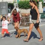 Alena Seredova al parco con i figli e il nuovo cane05