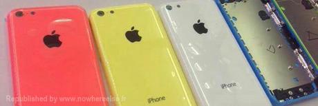 colori iPhone 5C