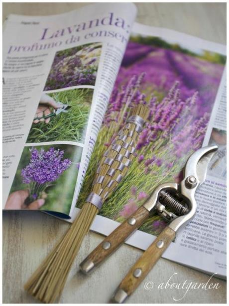 Casa in Fiore agosto 13