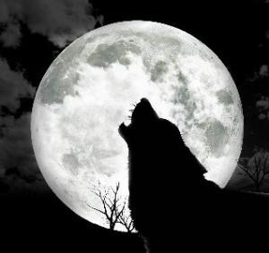 sonbo lupo 300x283 Siamo tutti lupi mannari? Quando la luna influisce sul sonno.