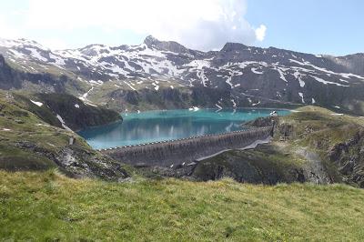 fiori di montagna