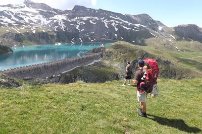 fiori di montagna