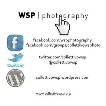 WSP Social Profiles