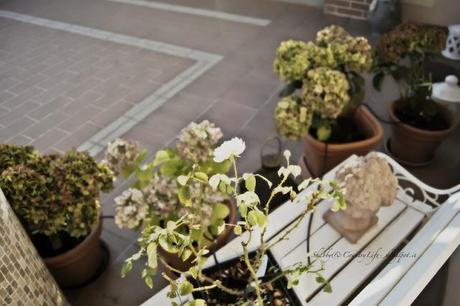 My Home : Luce dal cortile - shabby&countrylife.blogspot.it