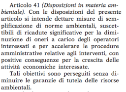 art. 41 decreto del fare 21 giugno 2013