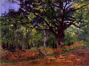 monet_bodmer_oak