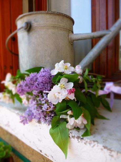 Lilac  e fiori di ciliegio.