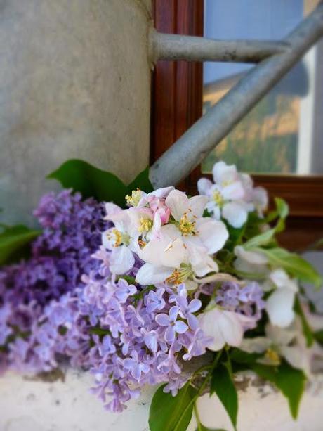 Lilac  e fiori di ciliegio.