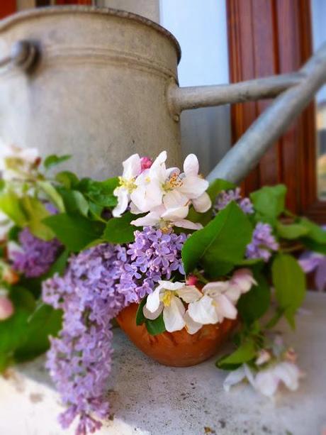 Lilac  e fiori di ciliegio.