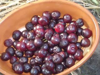 Le delizie di stagioni - Marmellata di Amarene