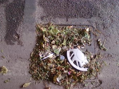 Ma è vero che Roma d'estate è più bella e vivibile? Ecco una passeggiata nel Settimo Municipio... Eh, 'na zella!