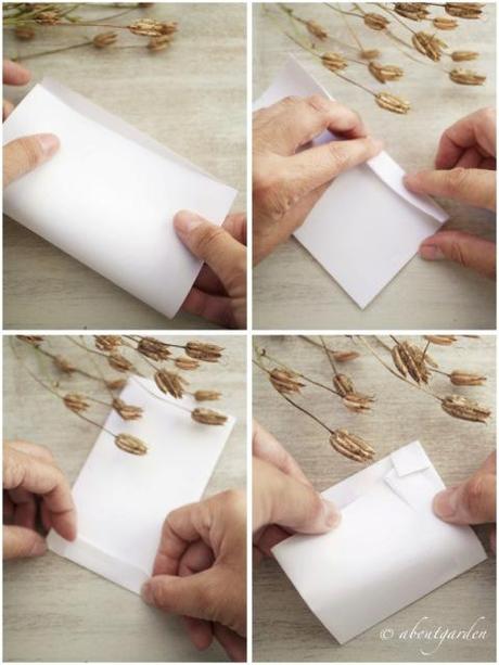 make seeds packet