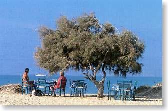 paradisos naxos