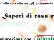 Totanetti ripieni ricotta pesto contest sapori casa mia", secondi base pesce.