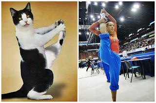 ANIMALI NATI PER LA GINNASTICA ARTISTICA