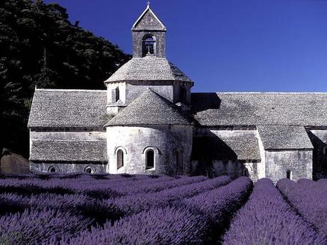 recipes and secrets of the monasteries