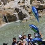 Roma, Fontana di Trevi flash mob a favore dei delfini 04