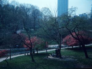 Central Park