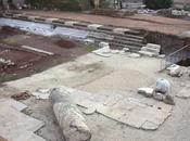 tante vite Foro Tempio della Pace