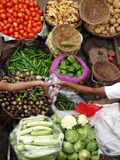 Le diete come corrette abitudini alimentari