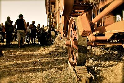 rievocazione storica della battitura del grano, Isola