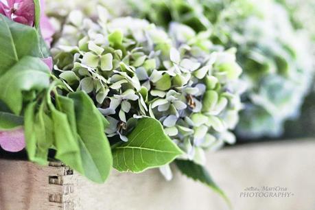 Floral centerpiece