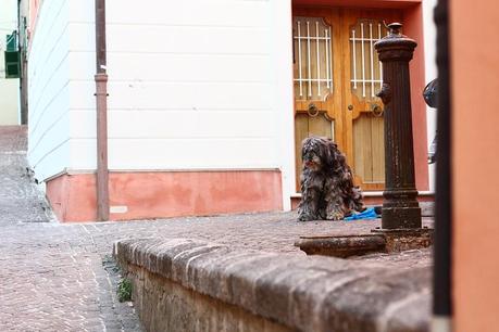 A tourist in Sirolo