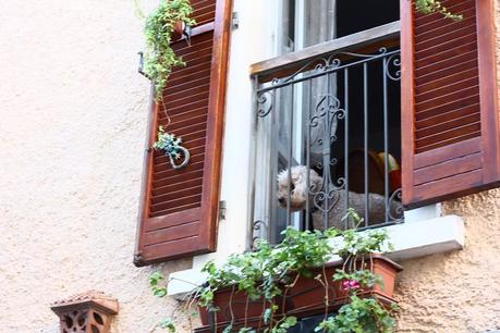 A tourist in Sirolo