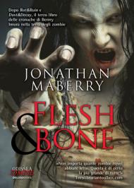 Jonathan Maberry - Flash & Bone