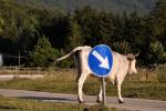 Un fine settimana nell’Irpinia