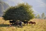 Un fine settimana nell’Irpinia