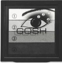 Gosh Cosmetics  sofisticata e misteriosa