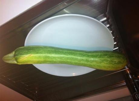 La zucchina oversize di Tranq