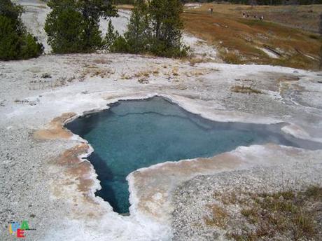 #SEFOSSIINMONTAGNA SAREI ALLO YELLOSTONE